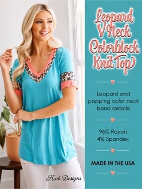 Leopard V Neck Colorblock Knit Top